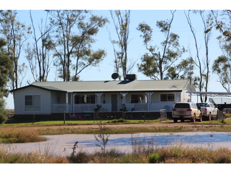 Milton Downs, Bellata NSW 2397