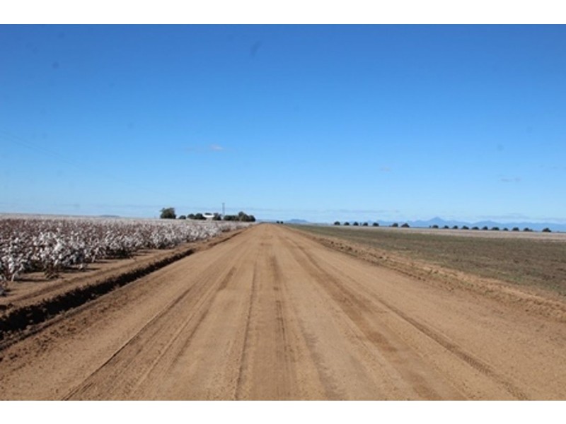 Milton Downs, Bellata NSW 2397