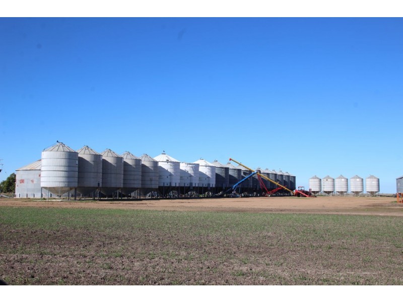 Milton Downs, Bellata NSW 2397