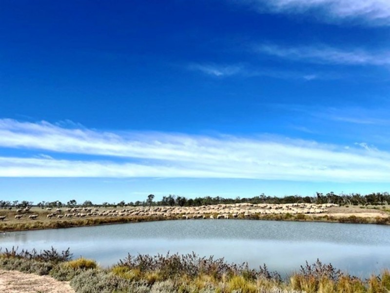 Roxburgh, Walgett NSW 2832