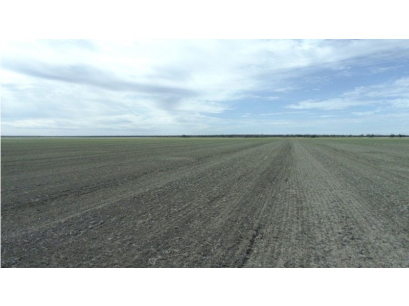 Roxburgh, Walgett NSW 2832