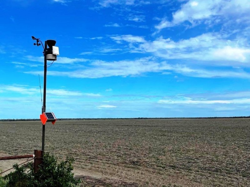 Roxburgh, Walgett NSW 2832