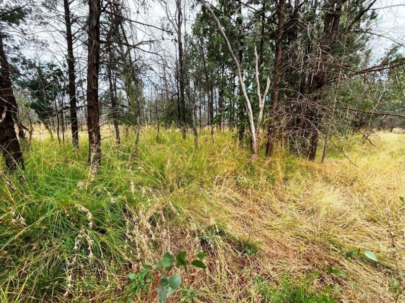 Roxburgh, Walgett NSW 2832