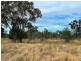 Roxburgh, Walgett NSW 2832