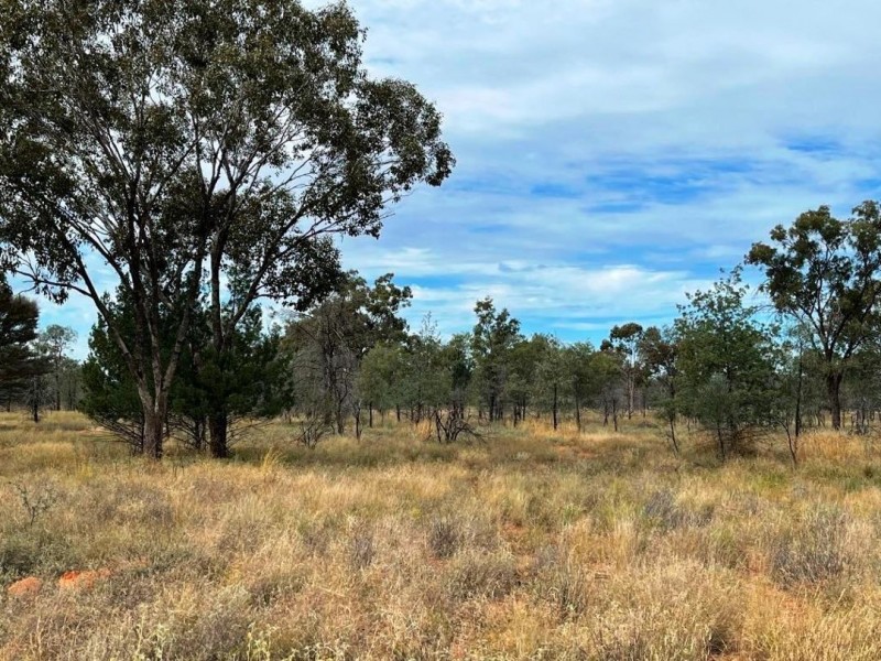 Roxburgh, Walgett NSW 2832