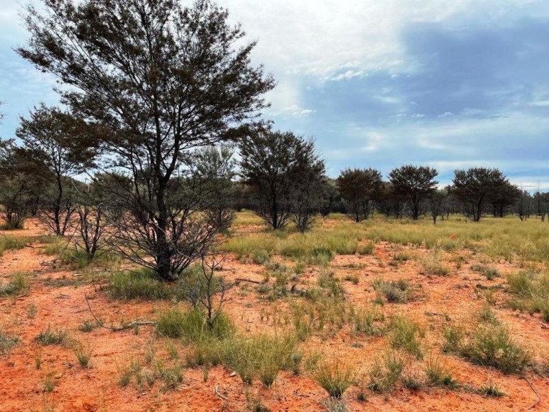 Roxburgh, Walgett NSW 2832