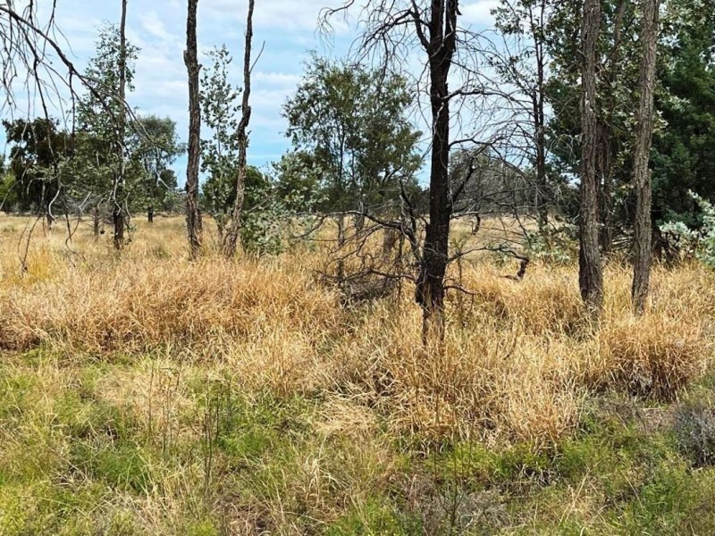 Roxburgh, Walgett NSW 2832