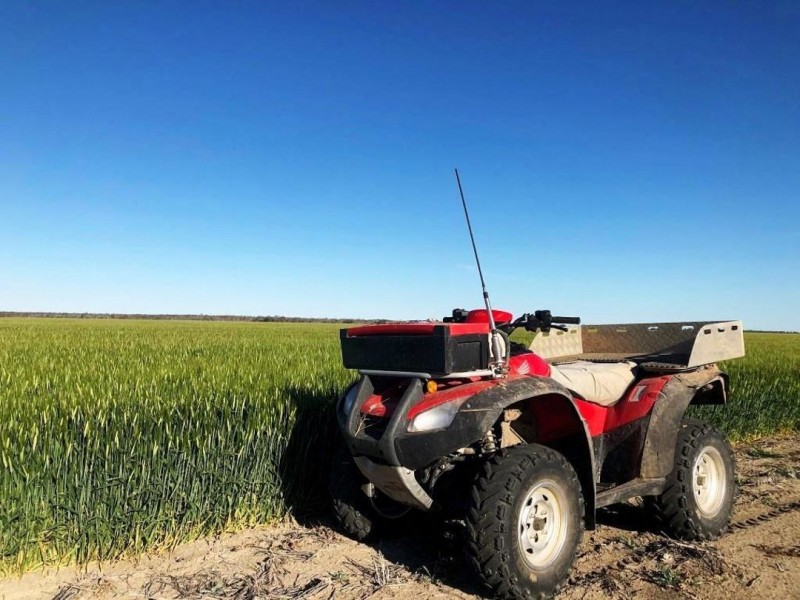 Roxburgh, Walgett NSW 2832