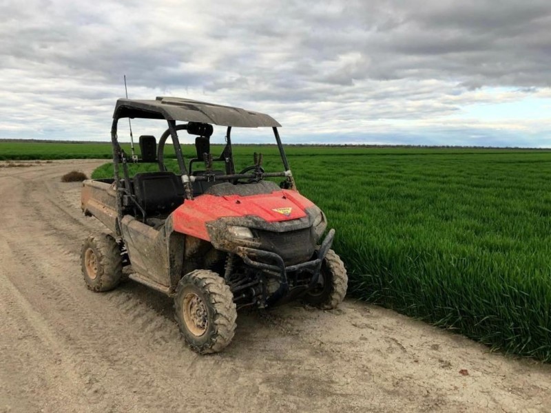 Roxburgh, Walgett NSW 2832