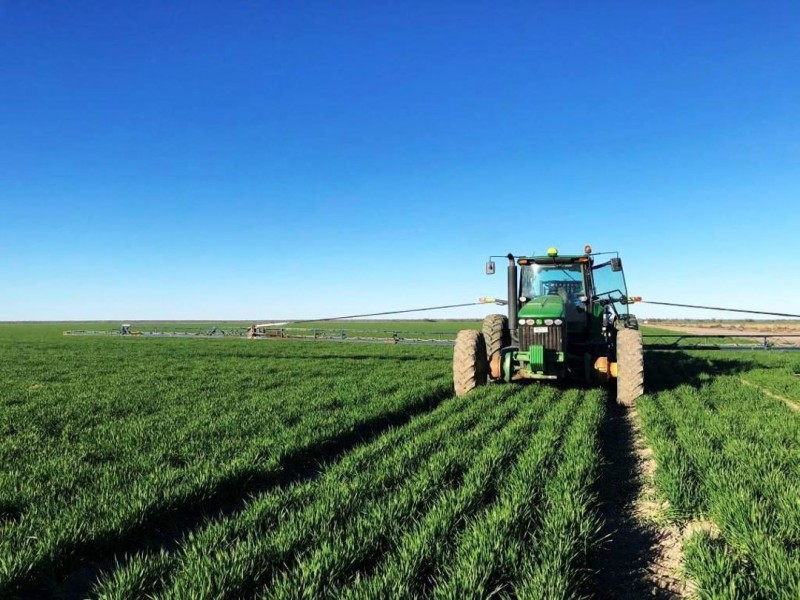 Roxburgh, Walgett NSW 2832