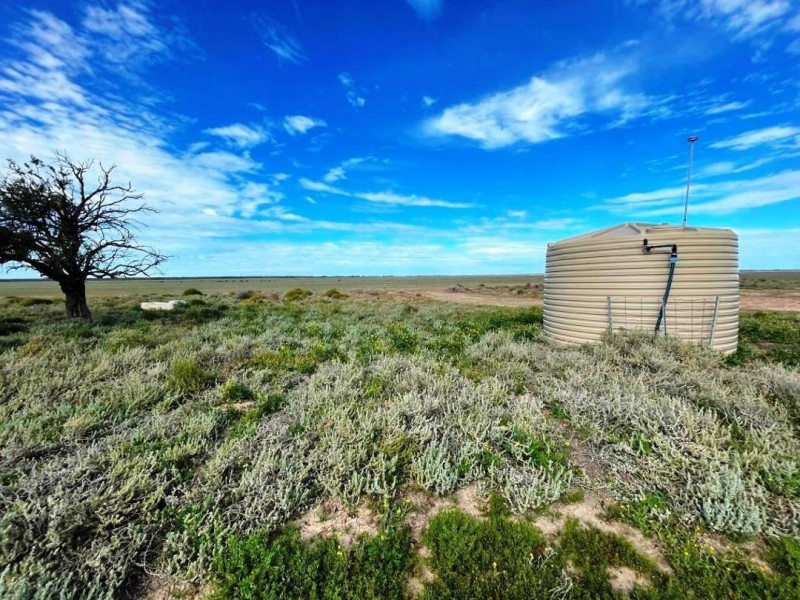 Roxburgh, Walgett NSW 2832