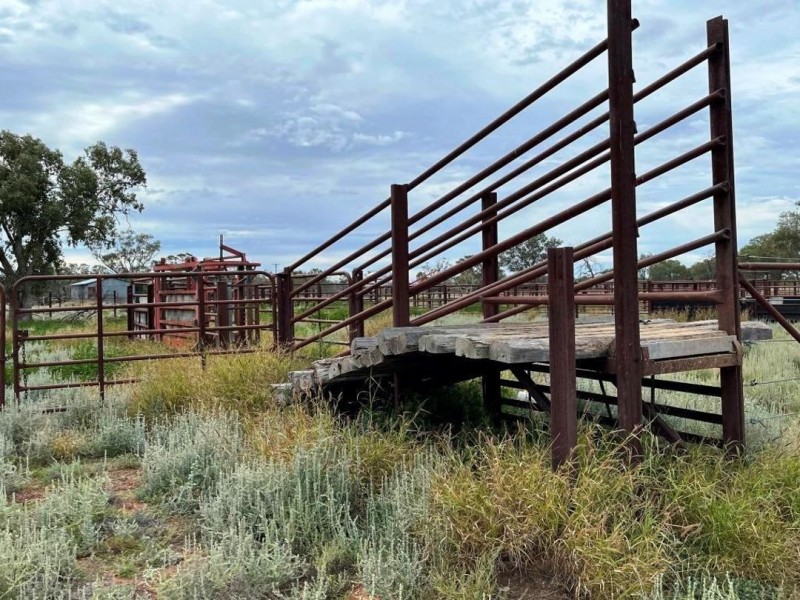 Roxburgh, Walgett NSW 2832