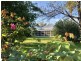 Kurrajong Gwydir Hwy, Moree NSW 2400