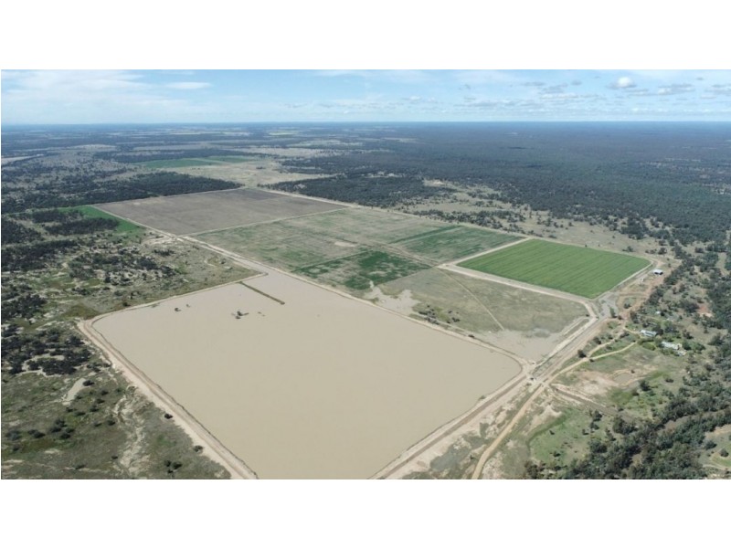 Tharlane, Wee Waa NSW 2388