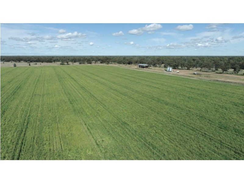 Tharlane, Wee Waa NSW 2388
