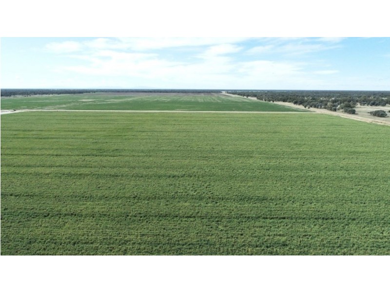 Tharlane, Wee Waa NSW 2388