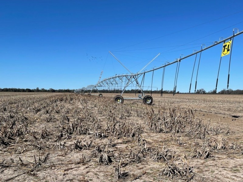 Tharlane, Wee Waa NSW 2388