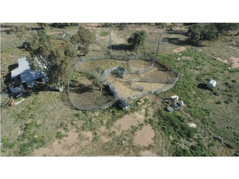 Tharlane, Wee Waa NSW 2388