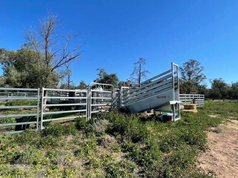 Tharlane, Wee Waa NSW 2388