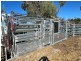 Tharlane, Wee Waa NSW 2388