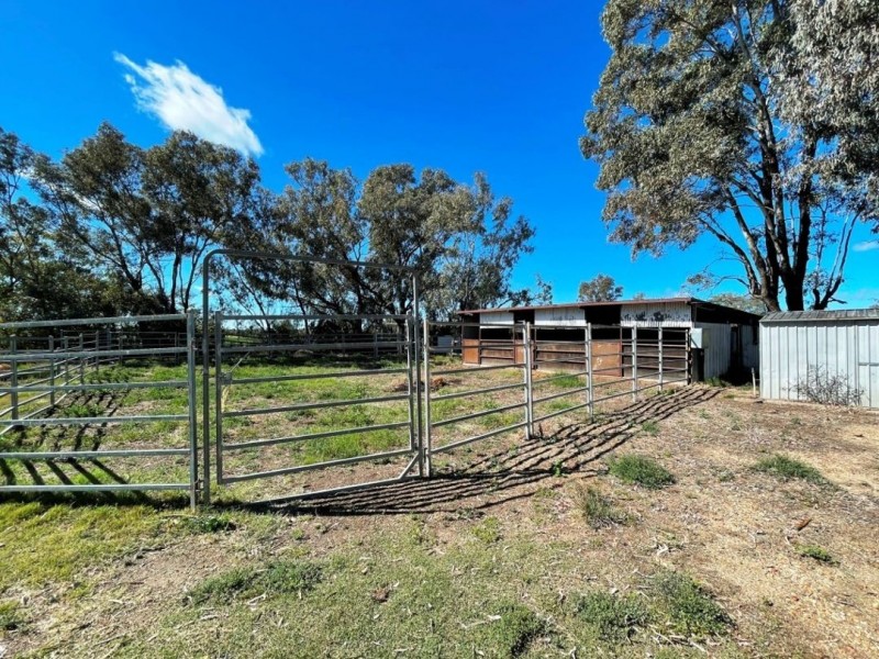 187 Bendygleet Road, Moree NSW 2400