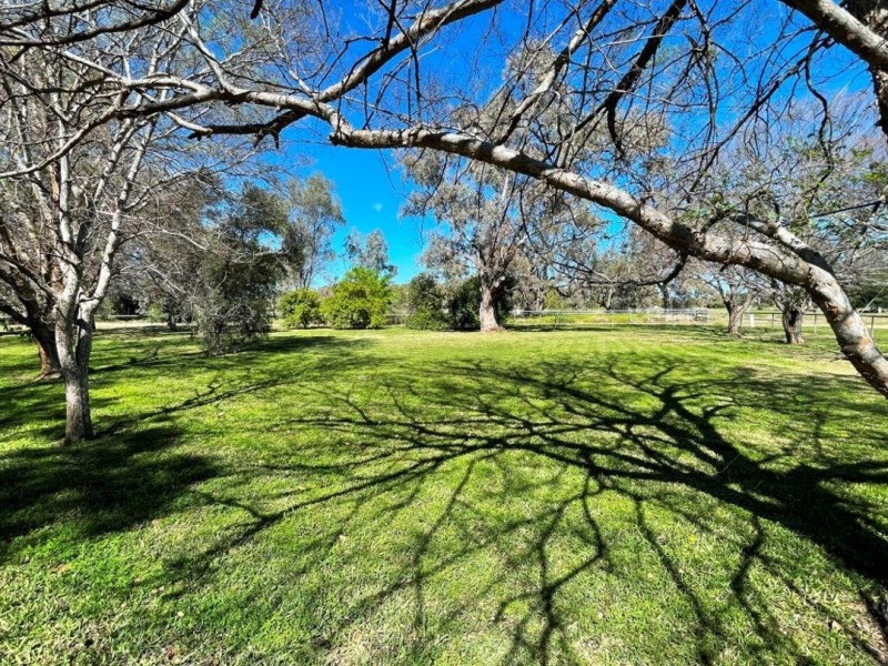 187 Bendygleet Road, Moree NSW 2400