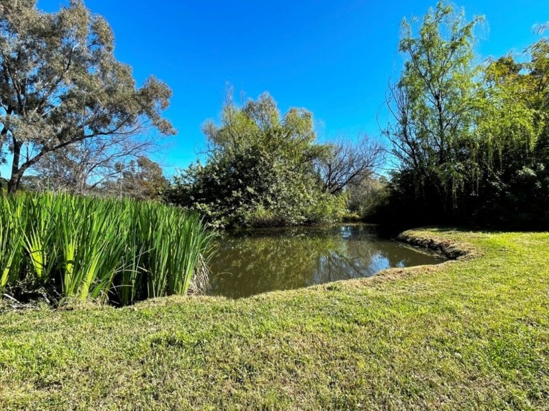 187 Bendygleet Road, Moree NSW 2400