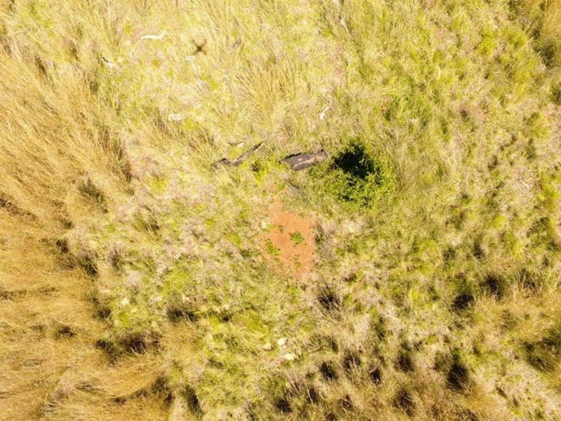 Little Plain, Bingara NSW 2404