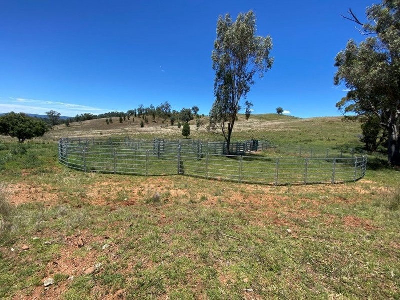 Little Plain, Bingara NSW 2404