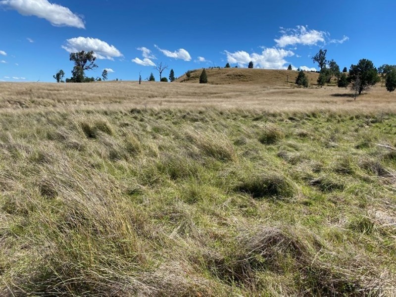 Little Plain, Bingara NSW 2404