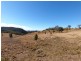 Little Plain, Bingara NSW 2404
