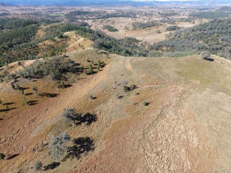 Little Plain, Bingara NSW 2404