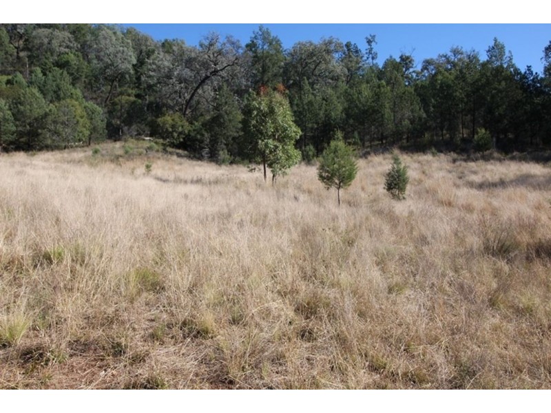 Little Plain, Bingara NSW 2404