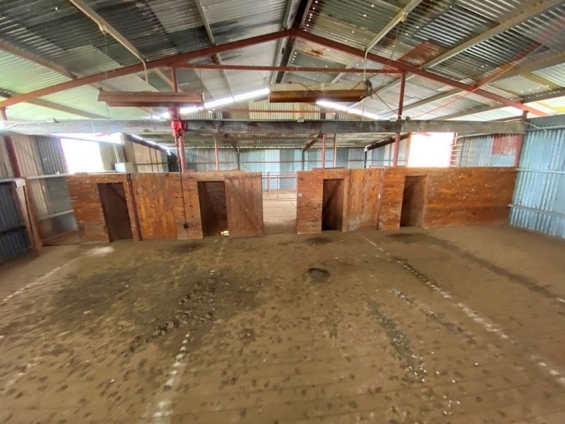 Little Plain, Bingara NSW 2404