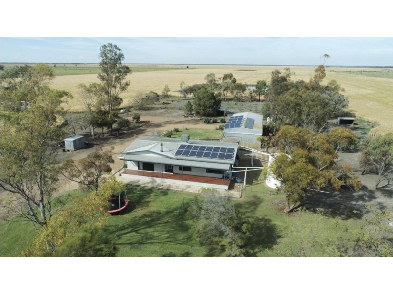 223 Wallanol Road, Moree NSW 2400