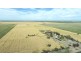223 Wallanol Road, Moree NSW 2400