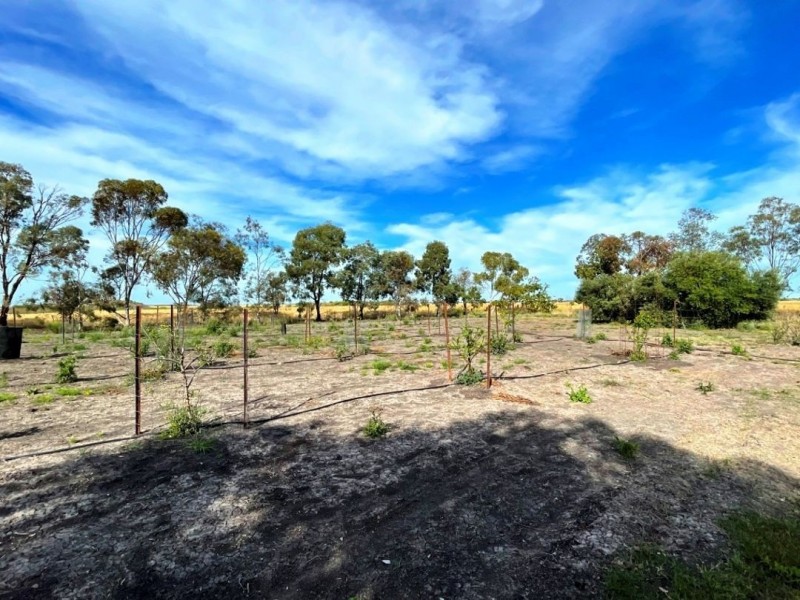 223 Wallanol Road, Moree NSW 2400