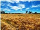 223 Wallanol Road, Moree NSW 2400