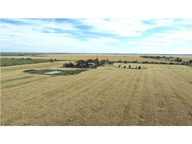 223 Wallanol Road, Moree NSW 2400