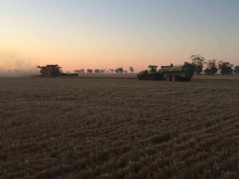 Willandra, Moree NSW 2400