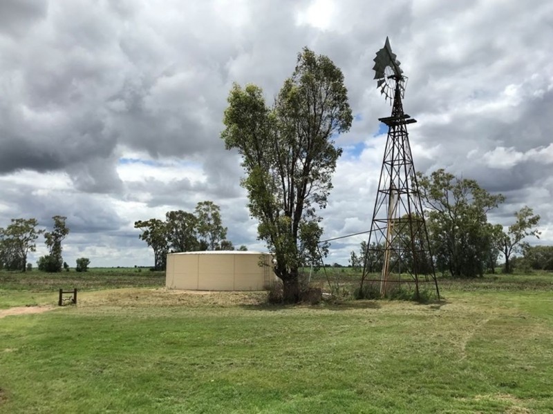 Willandra, Moree NSW 2400