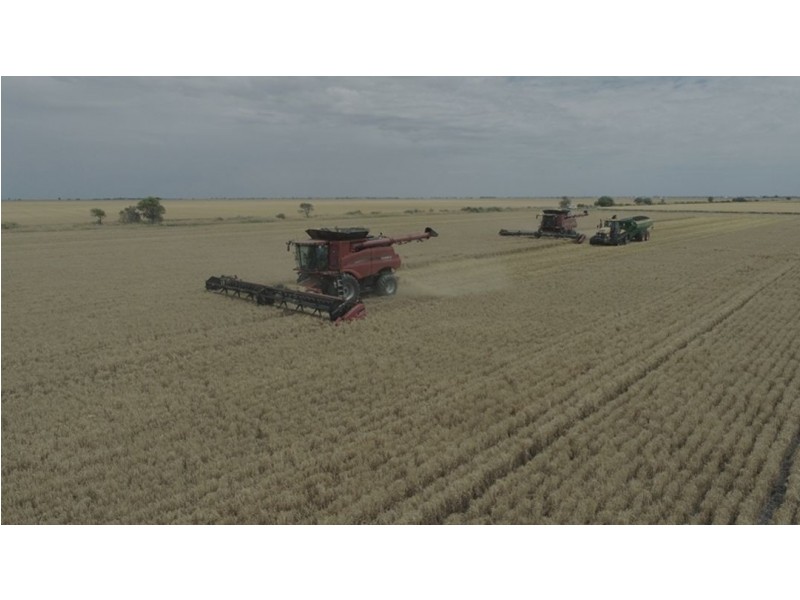 Willandra, Moree NSW 2400