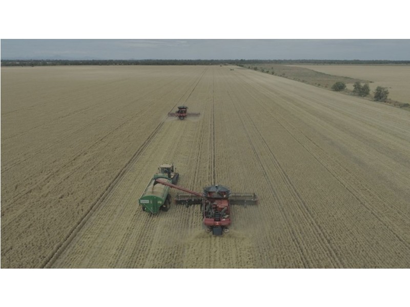 Willandra, Moree NSW 2400