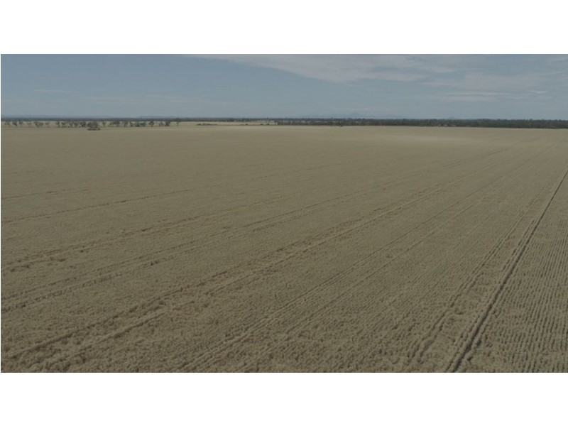 Willandra, Moree NSW 2400