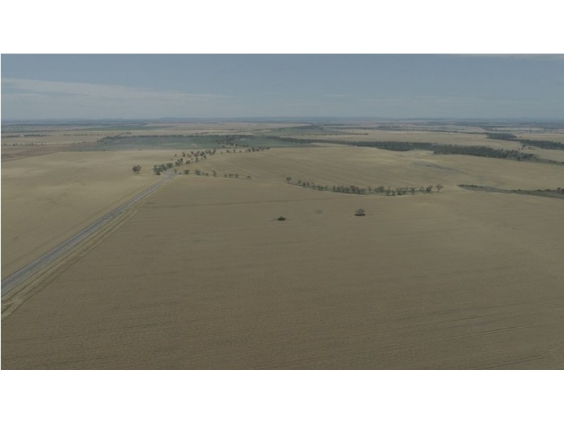 Willandra, Moree NSW 2400