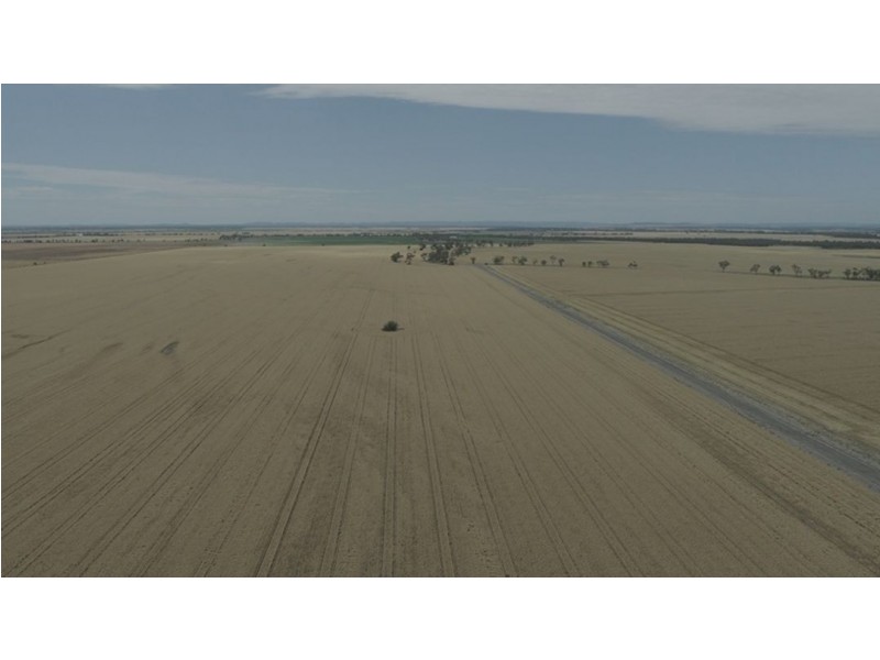 Willandra, Moree NSW 2400