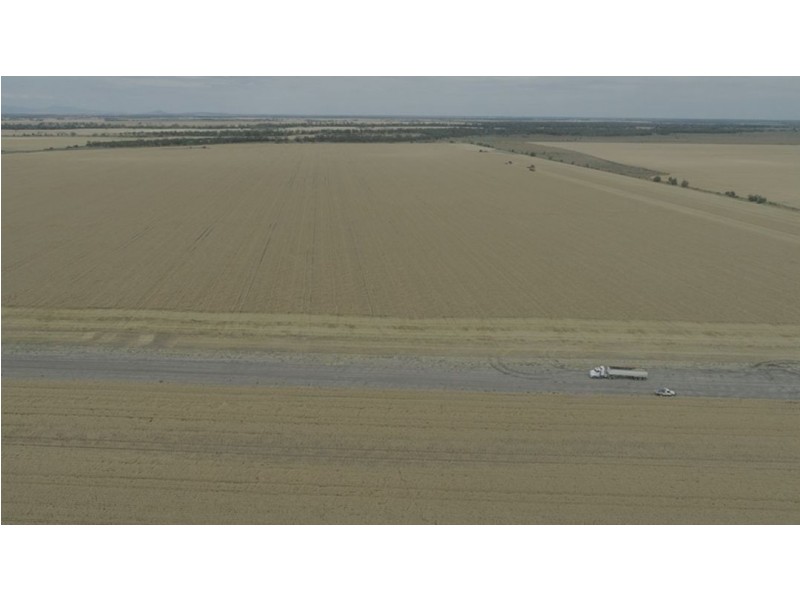 Willandra, Moree NSW 2400