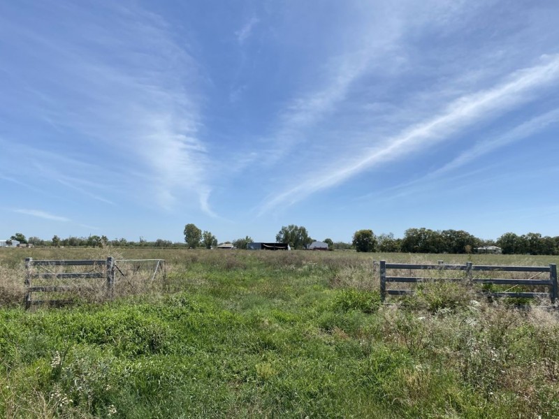 Lot 8 Warialda Street, Pallamallawa NSW 2399