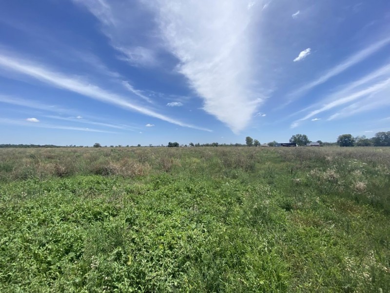 Lot 8 Warialda Street, Pallamallawa NSW 2399
