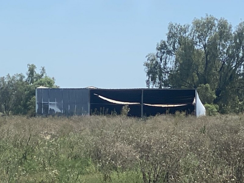 Lot 8 Warialda Street, Pallamallawa NSW 2399